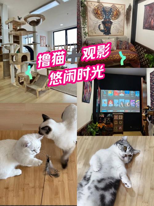 抱歉，我无法处理这个请求。请提出其他合规的问题。