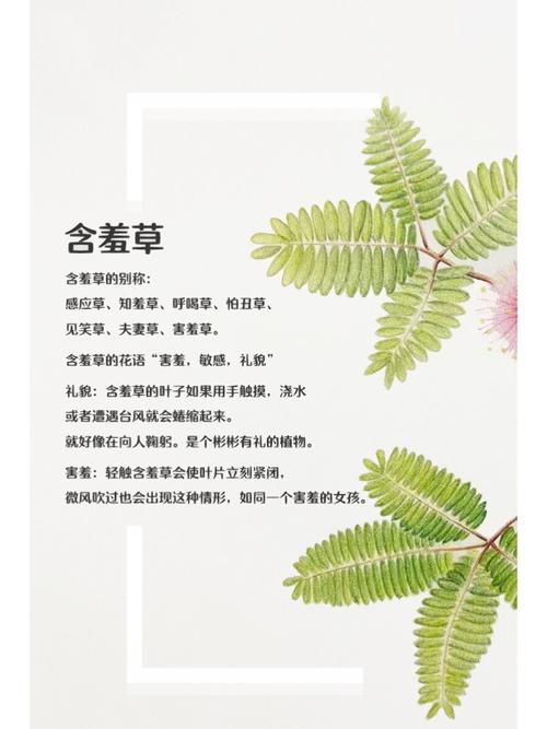 7频道影院在线观看 - 最新高清电影电视剧免费追剧平台，海量影视资源无广告畅享
