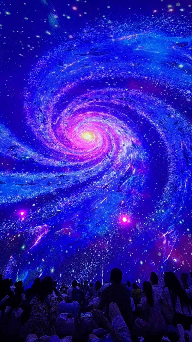 福利午夜在线看的相关介绍