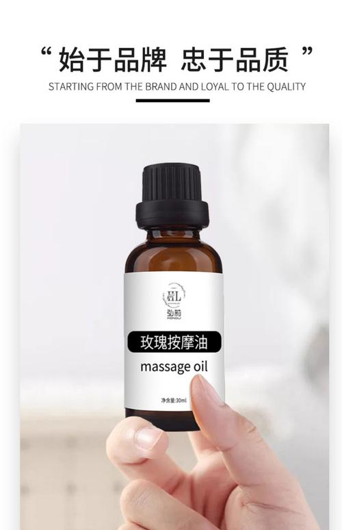 丰满卖淫伦理片的相关介绍