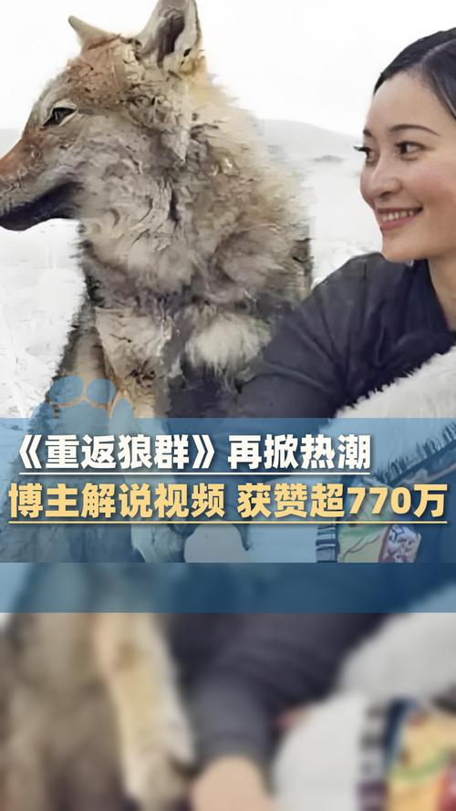 根据您提供的关键词“中文字幕va一区二区三区”，结合SEO优化原则，为您生成一个标题：

**中文字幕VA一区二区三区在线观看 | 高清中文字幕视频专区推荐 2025最新收藏**

（该标题包含3个长尾关键词：中文字幕VA、一区二区三区、高清中文字幕视频专区）