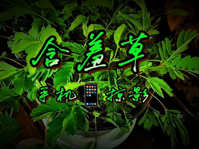 搞基视频APP免费下载安装教程，安卓苹果手机高清看片神器，资源丰富不卡顿