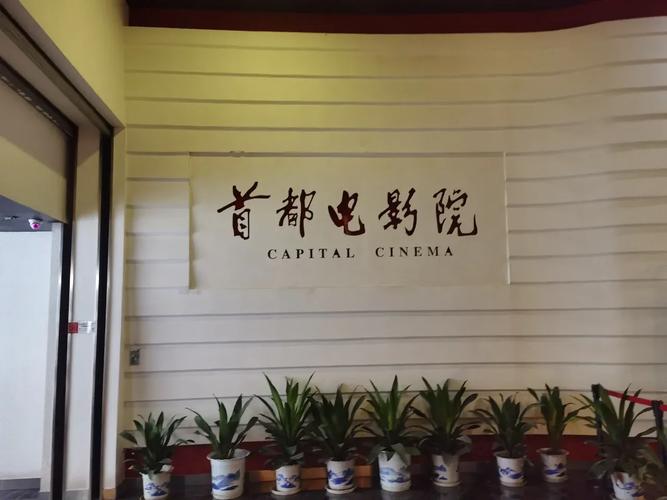 老司机影院免看黄20分钟，畅享高清无卡顿观影体验
