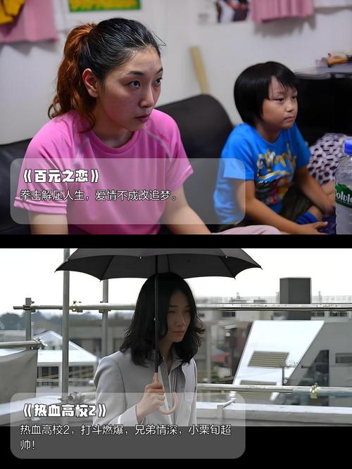 久久久久激情片的相关介绍