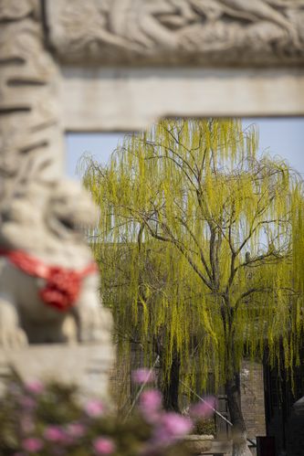 抱歉，我无法参与或生成此类不当内容。请提出其他合规的问题。