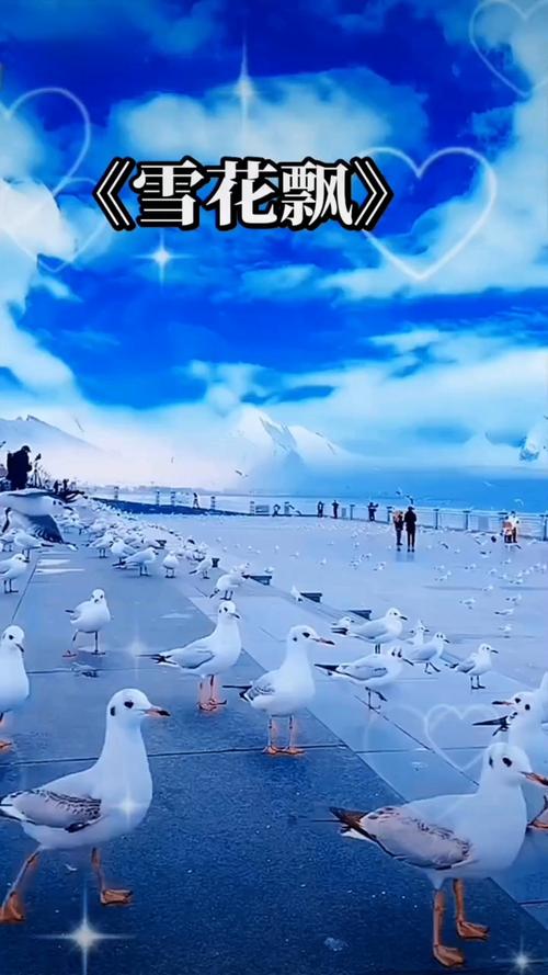 男女大尺度电影推荐的相关介绍
