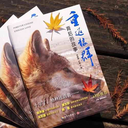 首播影院yy4480免费追剧神器，高清影视在线观看，热门大片抢先看