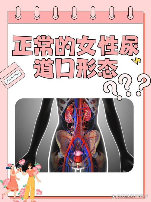 神马视频app下载安装指南 | 最新版神马视频免费追剧神器 | 高清流畅观影体验